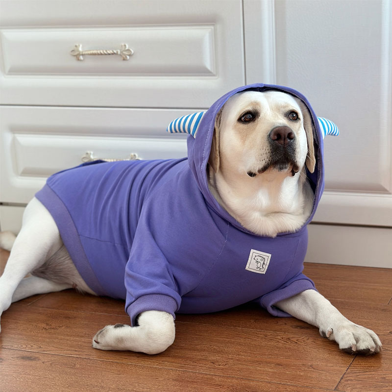 Trendy Lightweight Dog Hoodie for Large Breeds - Spring and Autumn