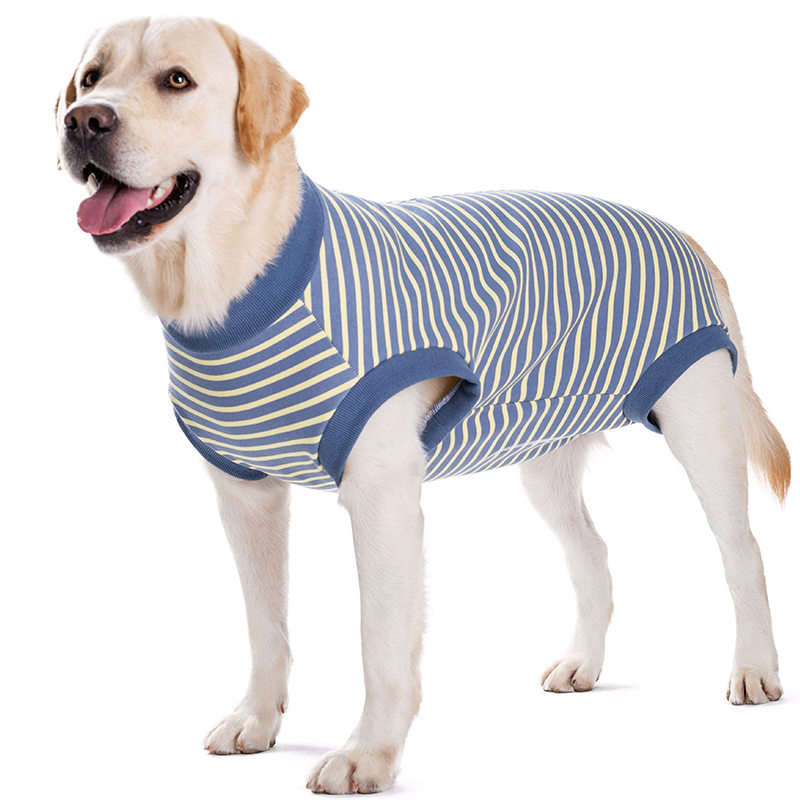 Big dog clothes autumn and winter fleece-lined thickened golden retriever bellyband vest warm prevent catching cold female canine all-inclusive belly post-operation clothes