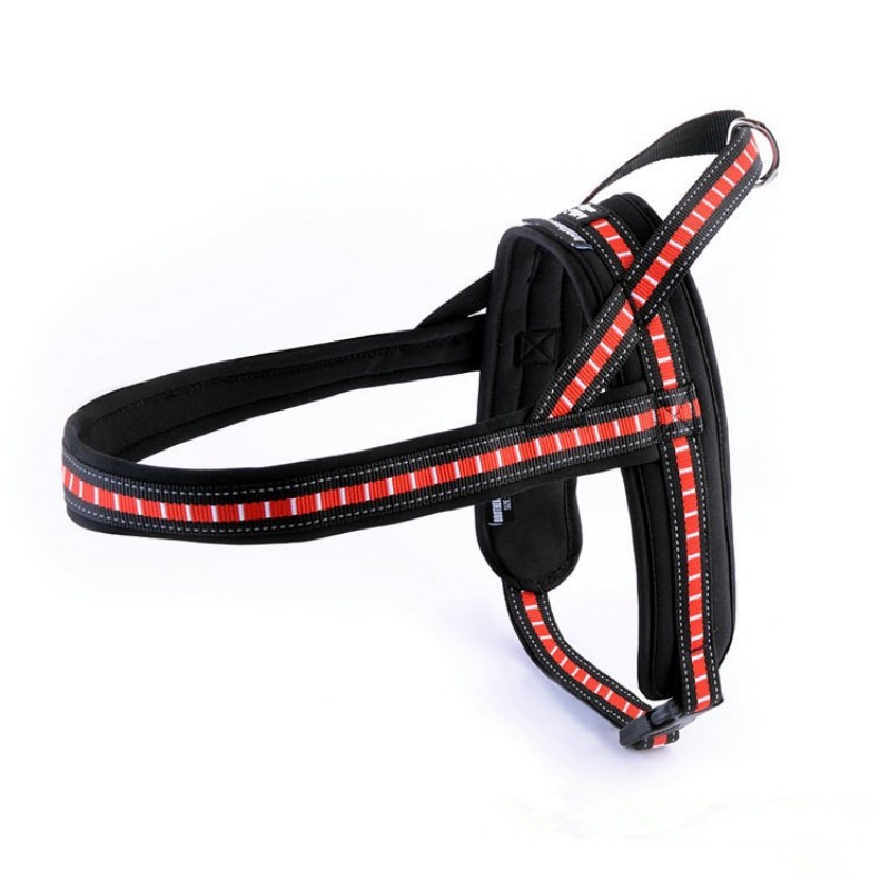 Pet's chest-back haulage rope package dog leash dog leash chest strap