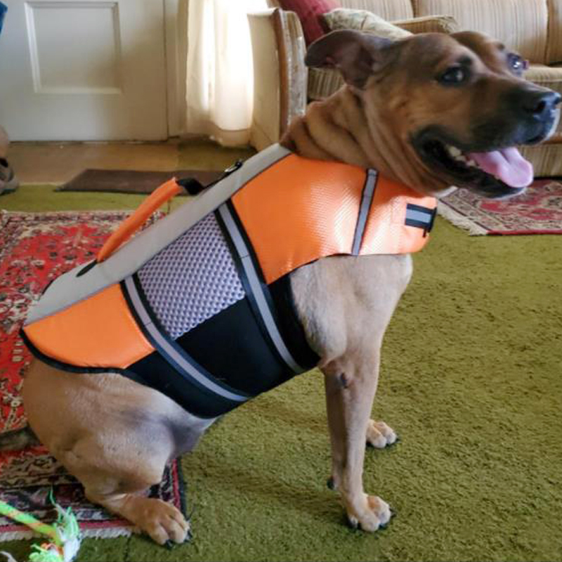 High Visibility Dog Life Jacket | Reflective Flotation Vest for All Sizes