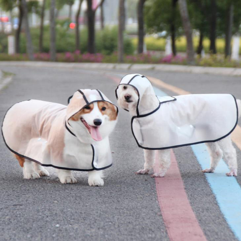 Transparent Waterproof Dog Raincoat for Small and Medium Breeds - Corgi, Teddy, Schnauzer