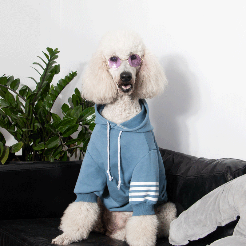 Large Dog Hoodies | Thickened Autumn Winter Fashion for Labradors,Huskies, Samoyeds