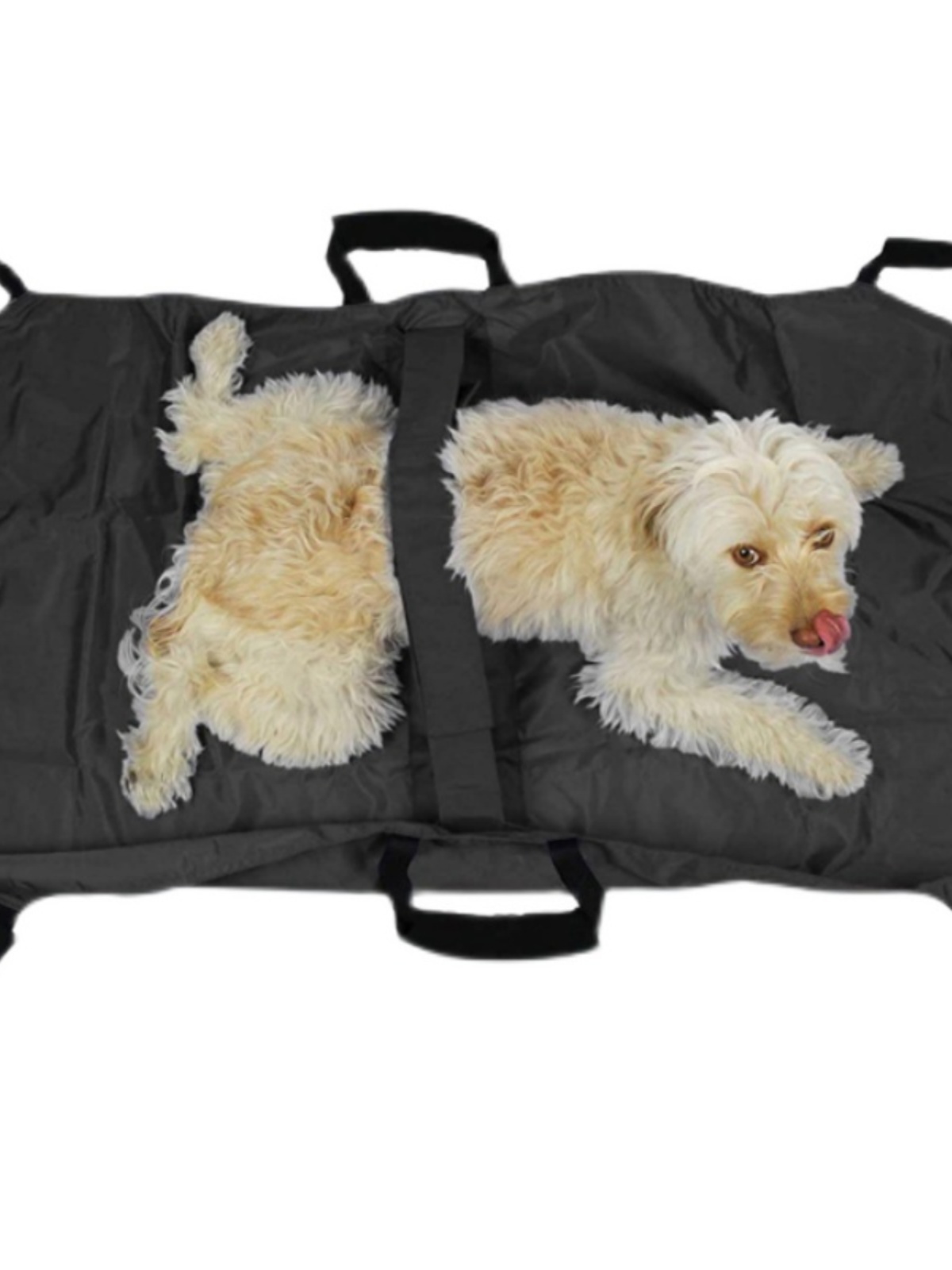 Dog emergency stretcher folding bed fracture medical treatment elderly paralysis injury rescue mobile car golden retriever up and down the floor