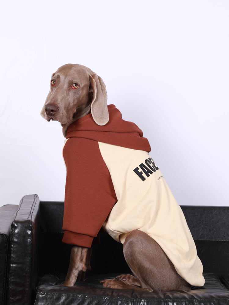 Fashionable Dog Hoodie for Large Breeds - Color Block Design