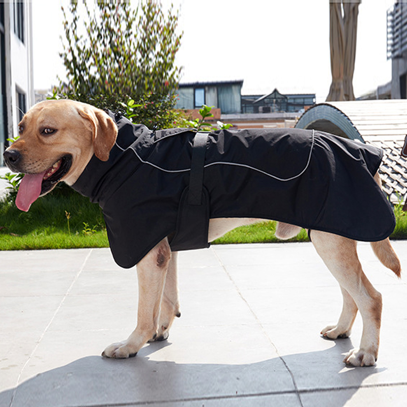 Pet waterproof windproof dog winter clothing thickened warm Weima Dubin German Shepherd medium large dog dog cotton Outdoor
