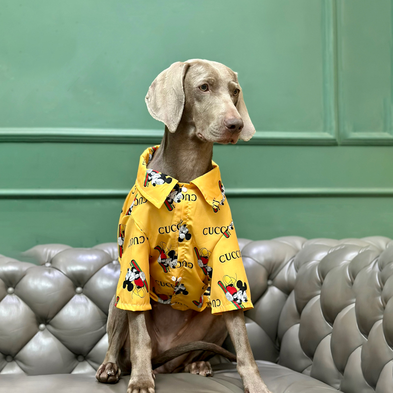 LovinPet Large Dog Shirts | Stylish Summer Outfits for Big Dogs