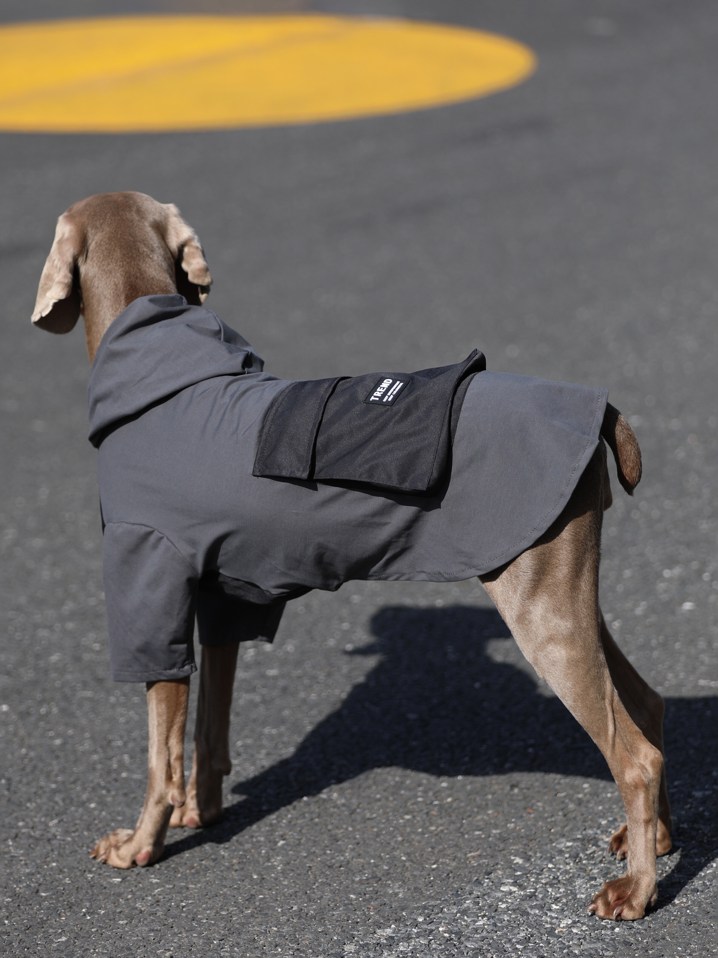 Anti-Lint Hoodies for Large Dogs | Thin,  Fashion,with Pockets