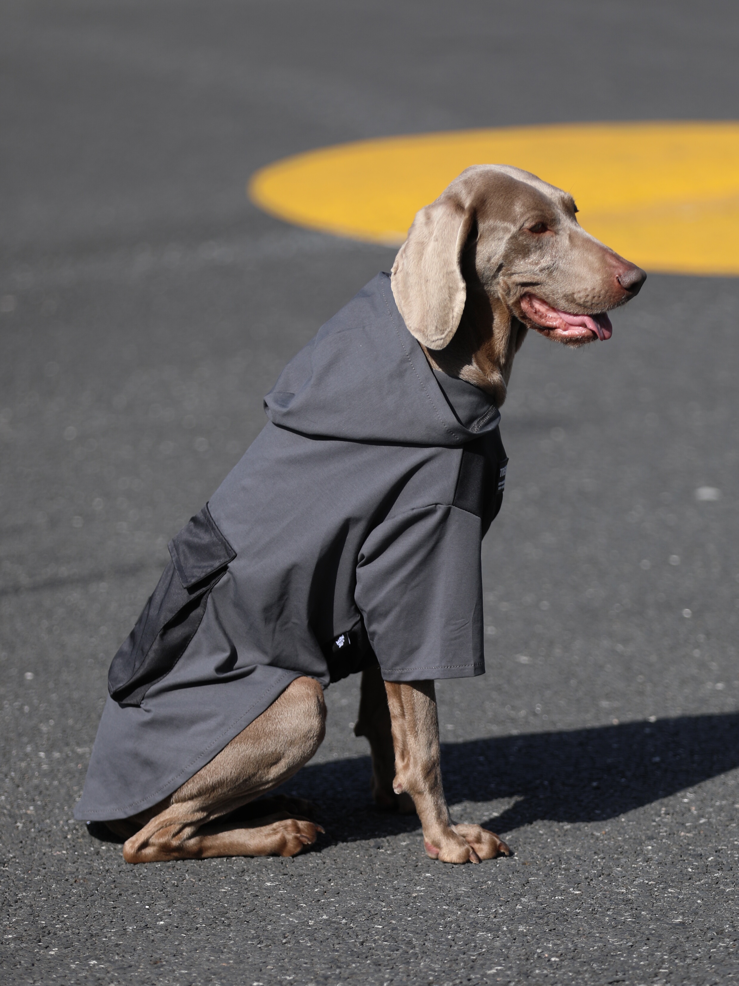 Anti-Lint Hoodies for Large Dogs | Thin,  Fashion,with Pockets