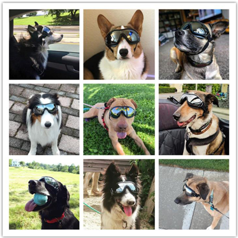 Pet goggles dog sunshade transparent glasses waterproof windproof anti-snow UV big dog eyes