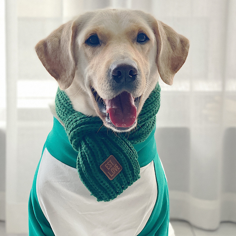 Dog scarf large dog warm Christmas scarf labrador golden retriever scarf warm ornament dog ornament winter