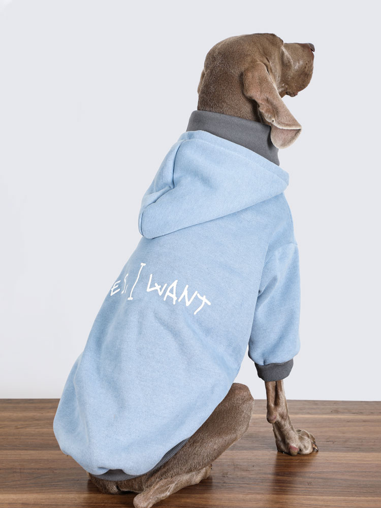 Warm Winter Dog Hoodie for Large Breeds - High-Neck Design