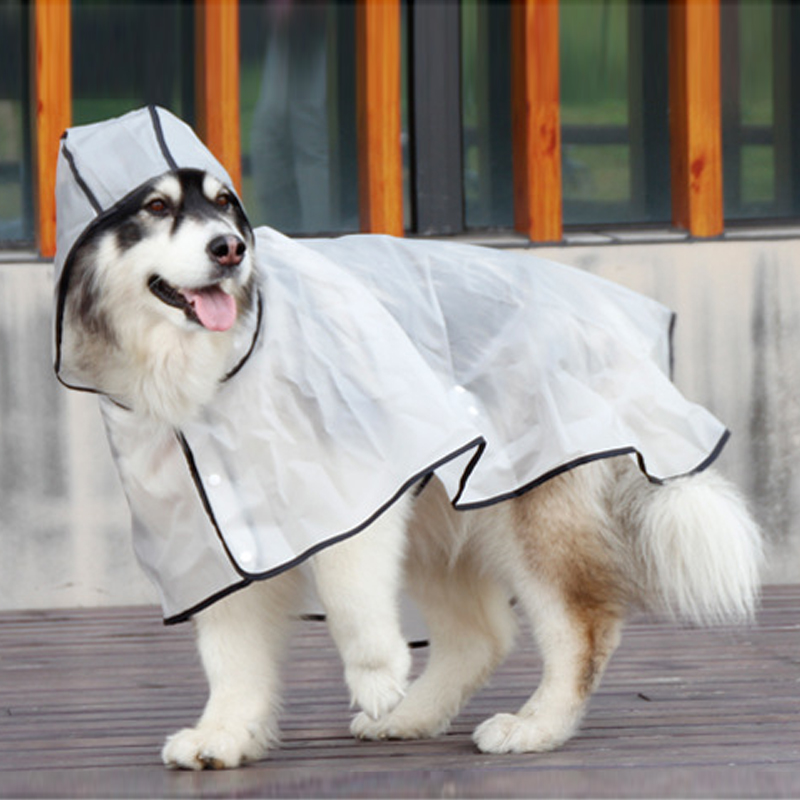 Transparent Waterproof Dog Raincoat for Small and Medium Breeds - Corgi, Teddy, Schnauzer