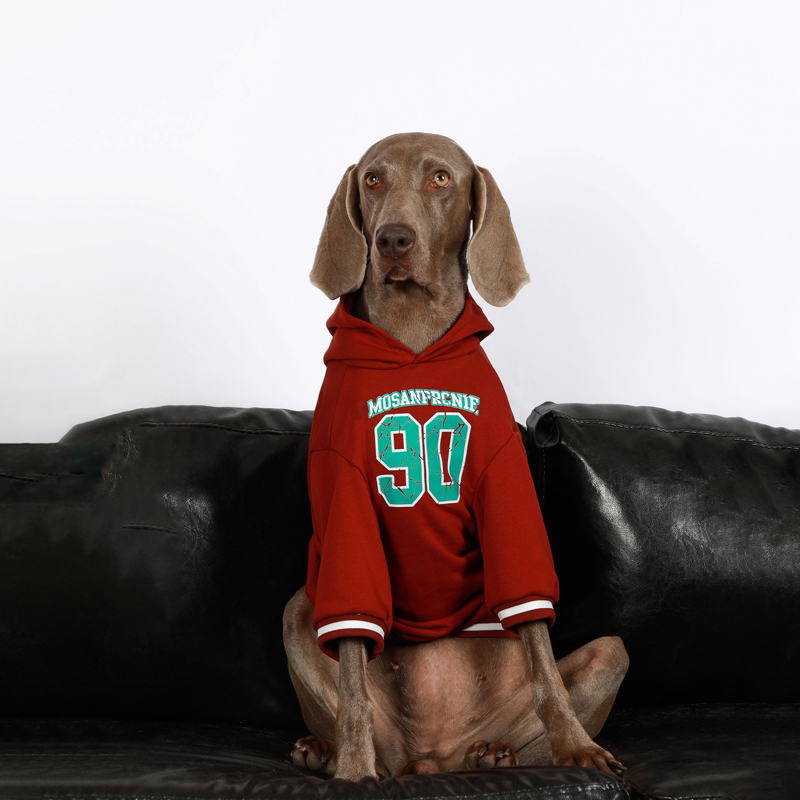 Sporty Large Dog Hoodies for Winter - Golden Retriever, Labrador, Doberman