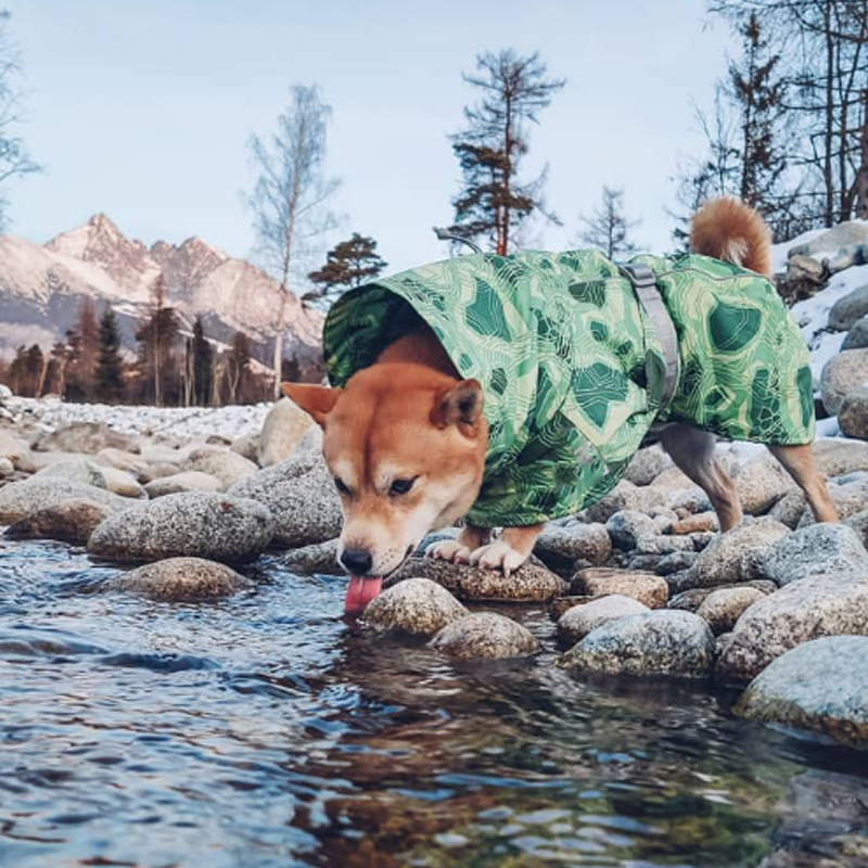 Lovinpet Waterproof Cotton-Padded Dog Coat - Windproof Winter Jacket with Neck Protection for Medium to Large Breeds