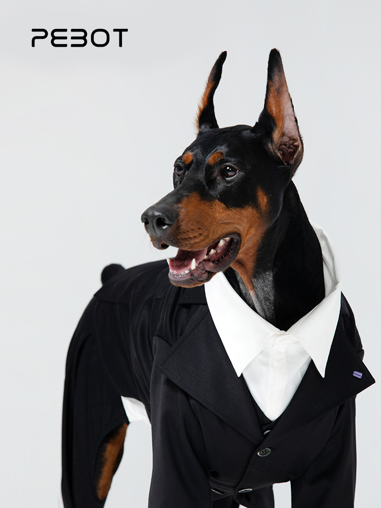 formal dog dress Elsa Princess Dog Dress main image 1