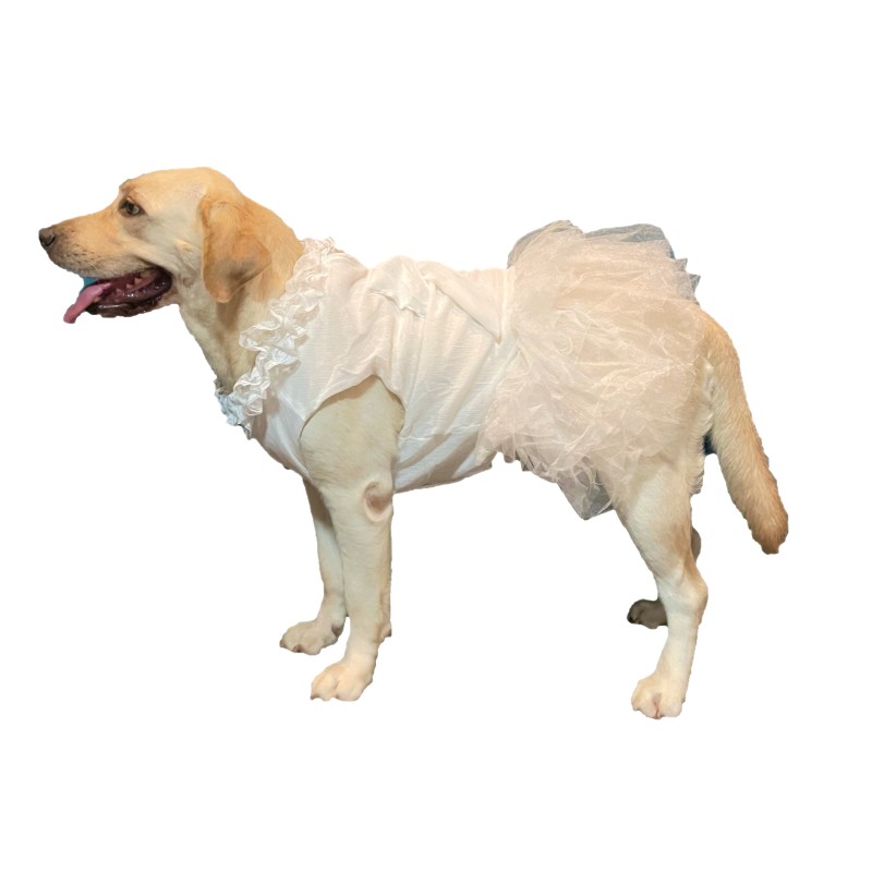 Milk tea] Pet dress wedding dress Western sweet lace chiffon large do