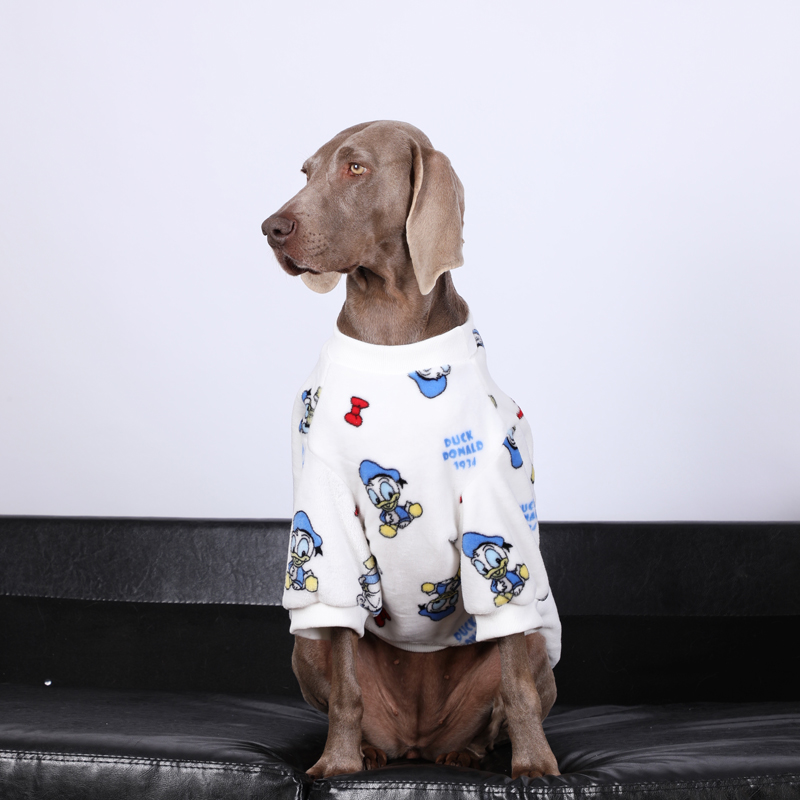 Large dog sitting calmly on a black couch, wearing a white pajama adorned with playful Donald Duck designs.