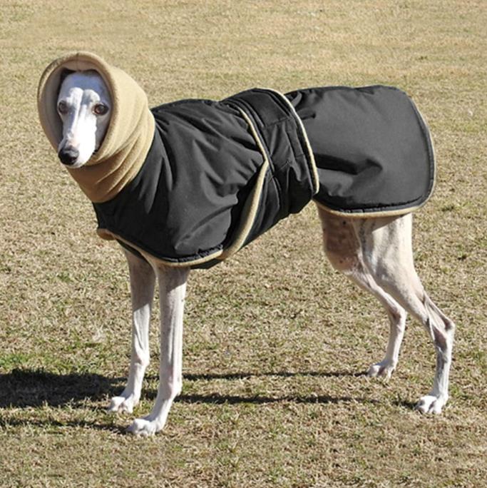 Pet autumn and winter thermal clothes dog lingtiyu large warm clothing China canines whippets Dubin high hound double-layer clothes