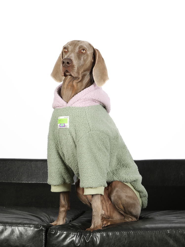 Winter Fleece Anti-lint Dog Hoodie - Clothes for Large Breeds