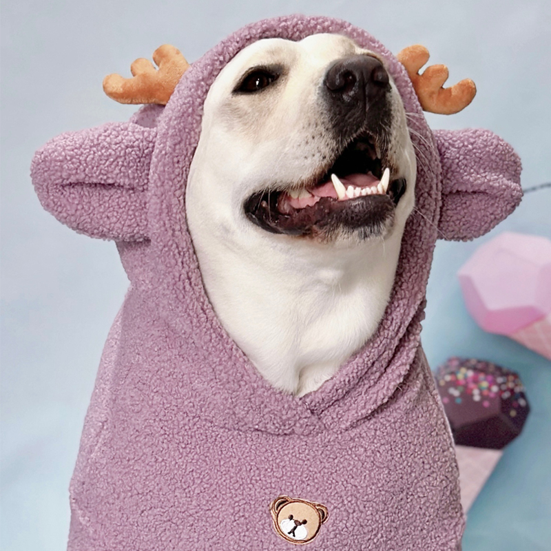 Fleece-Lined Dog Hoodie for Large Dogs | Warm and Cute Winter Clothes