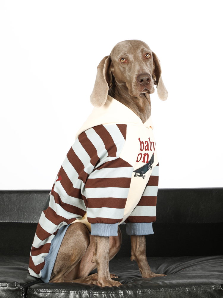 Stylish Striped Large Dog Hoodies | Spring/Autumn Wear