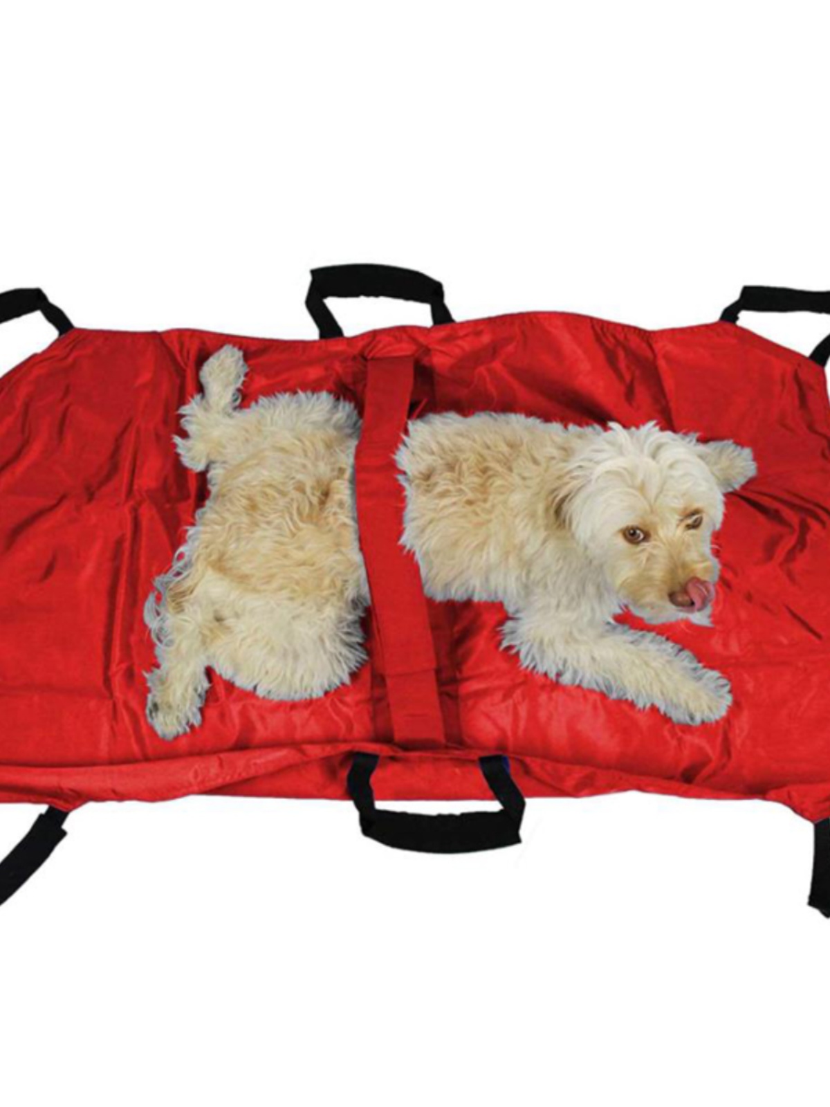 Dog emergency stretcher folding bed fracture medical treatment elderly paralysis injury rescue mobile car golden retriever up and down the floor