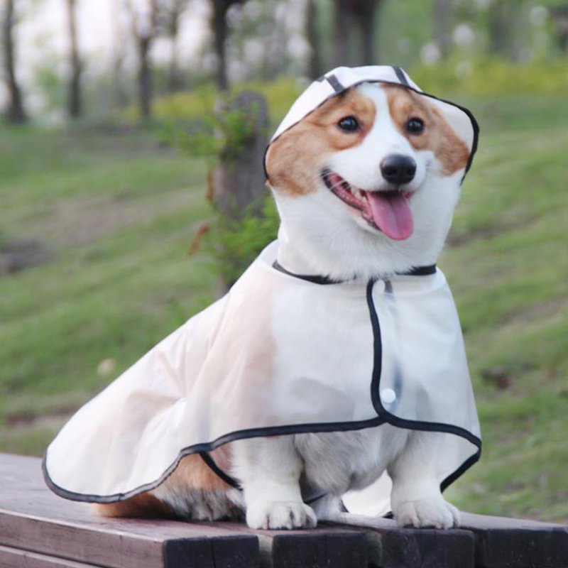 Transparent Waterproof Dog Raincoat for Small and Medium Breeds - Corgi, Teddy, Schnauzer