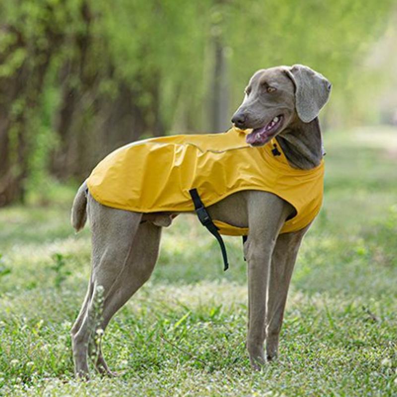 Premium Dog Raincoat with Hood | Waterproof & Windproof Large Dog Jacket | Outdoor Canine Rain Gear