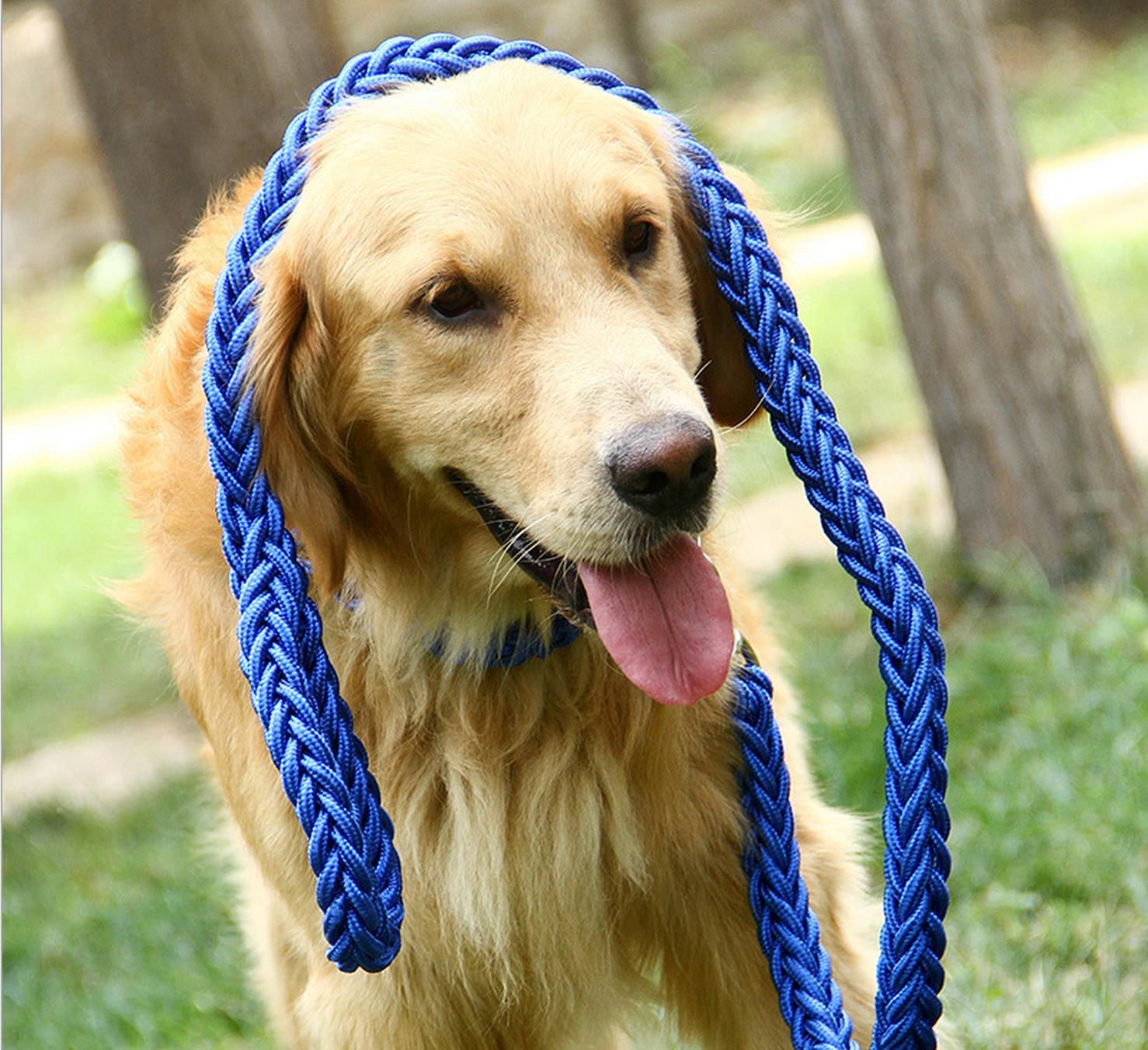 Dog hand holding rope dog chain rope collar golden retriever Alaska Samoyed large, medium and small dogs explosion-proof