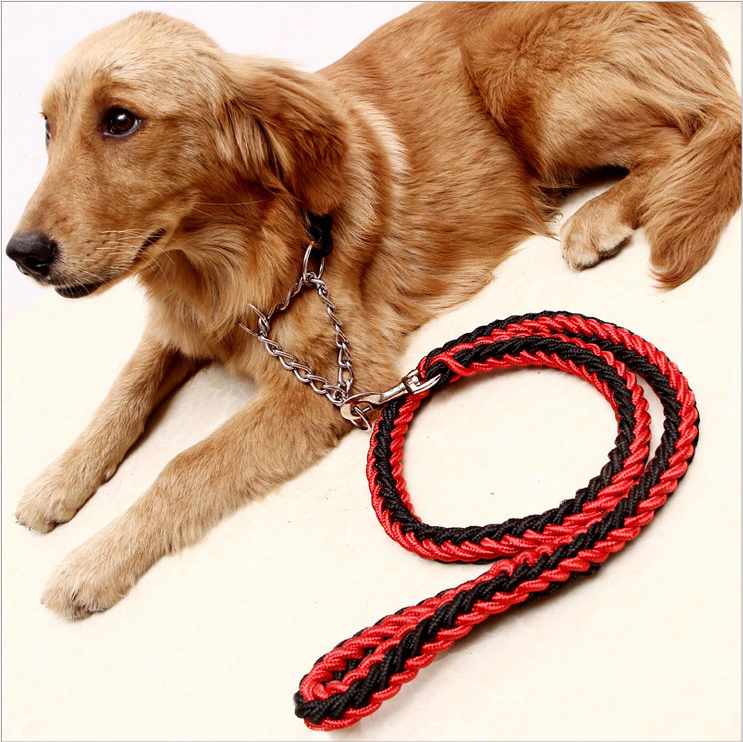Dog hand holding rope dog chain rope collar golden retriever Alaska Samoyed large, medium and small dogs explosion-proof
