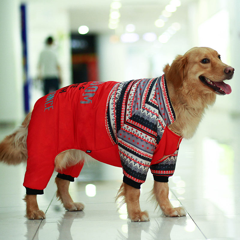 Leak-picking clearance special offer dog clothes cotton-padded clothes thick winter clothes golden retriever Labrador pet small dog winter