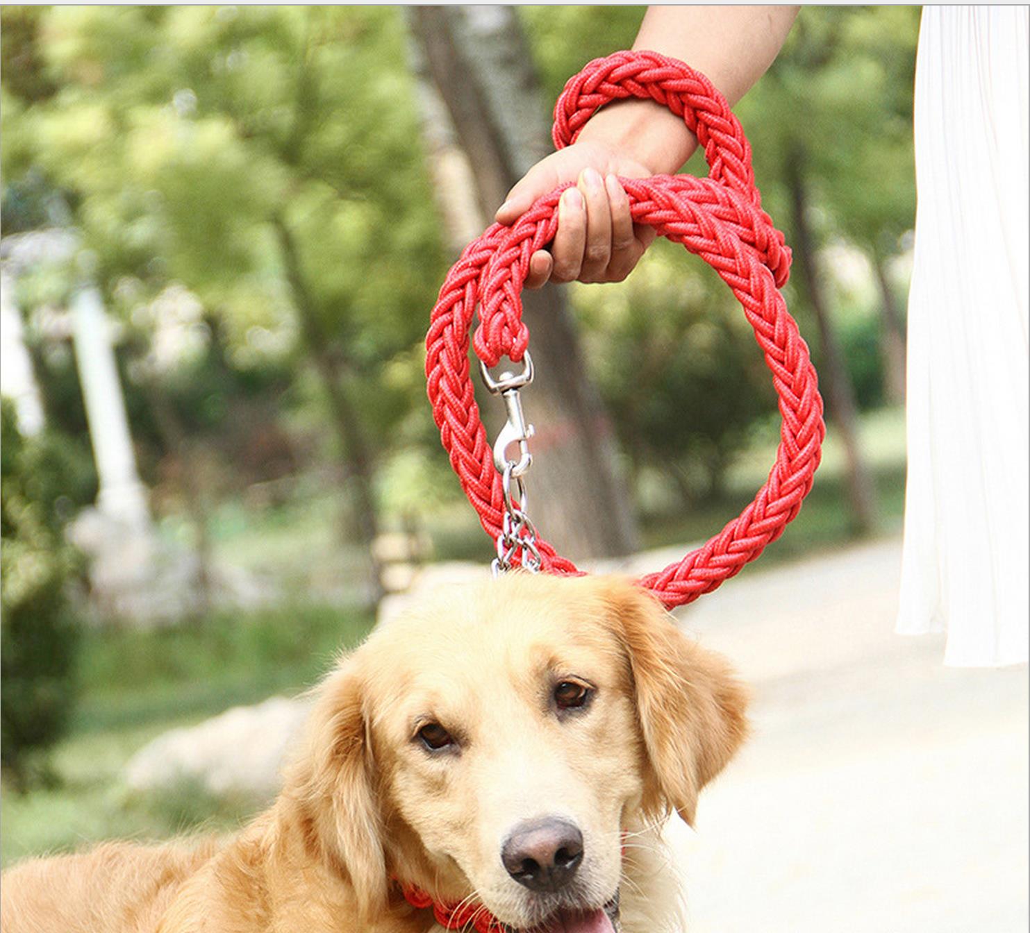 Dog hand holding rope dog chain rope collar golden retriever Alaska Samoyed large, medium and small dogs explosion-proof