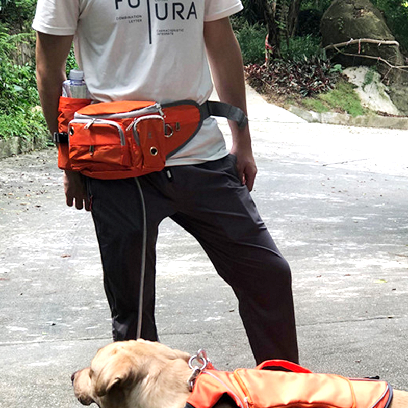 Pet Training bag dog running haulage rope package outdoor convenient dog walking training snack pack Golden Retriever