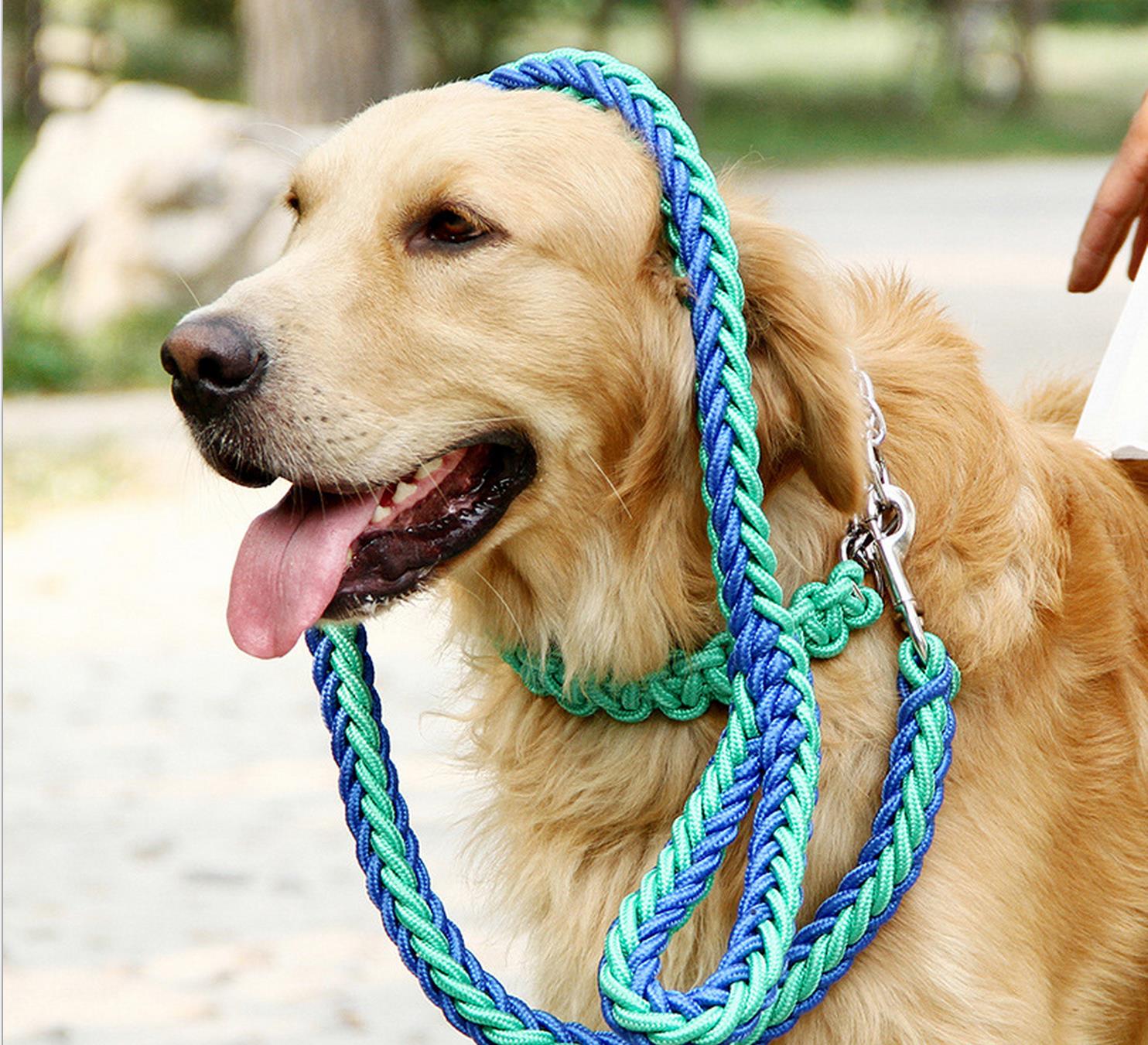 Dog hand holding rope dog chain rope collar golden retriever Alaska Samoyed large, medium and small dogs explosion-proof