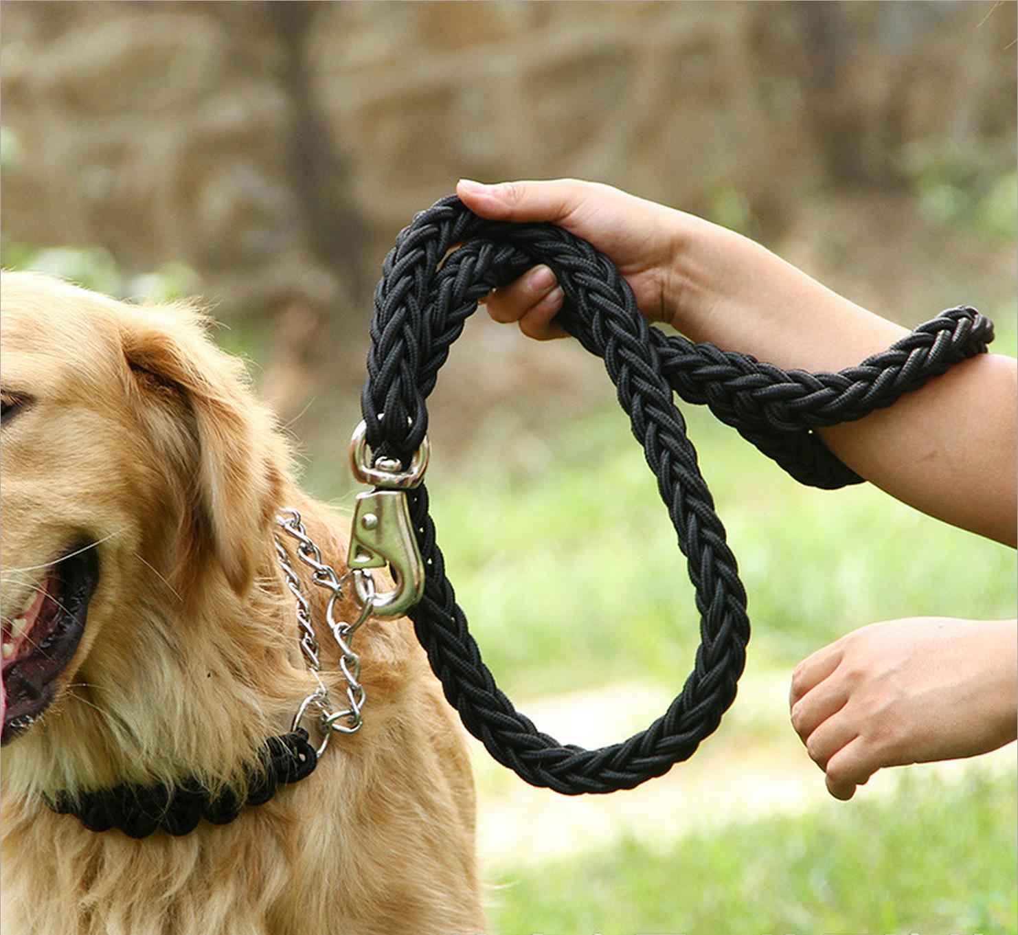 Dog hand holding rope dog chain rope collar golden retriever Alaska Samoyed large, medium and small dogs explosion-proof