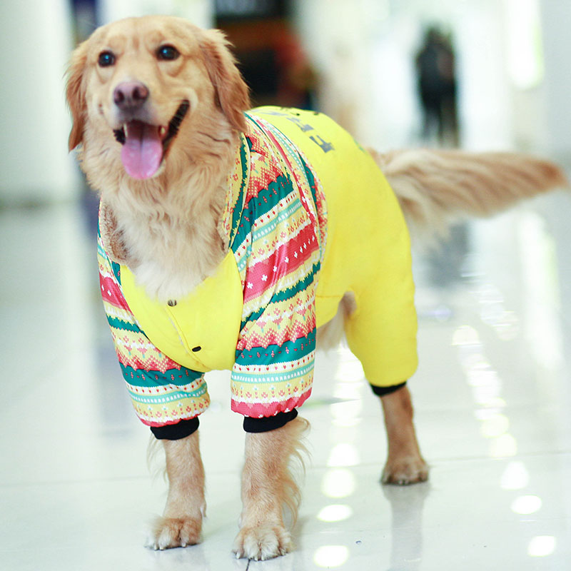 Leak-picking clearance special offer dog clothes cotton-padded clothes thick winter clothes golden retriever Labrador pet small dog winter
