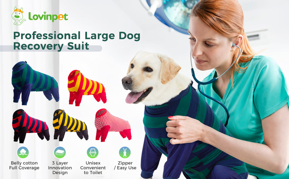 dog recovery suit dog spay recovery suit female