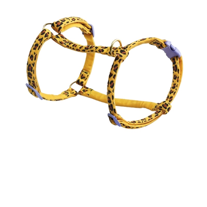 Hand holding rope p chain dog walking chest strap Internet celebrity Teddy Labrador training young puppy small medium and large dog collar