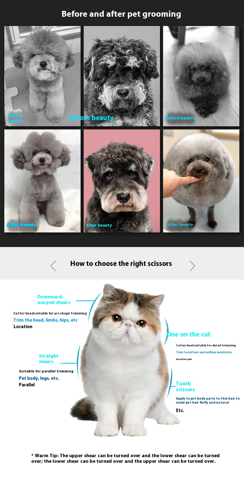 鍙屽熬褰╄壊鍥涗欢濂梍r2_c1