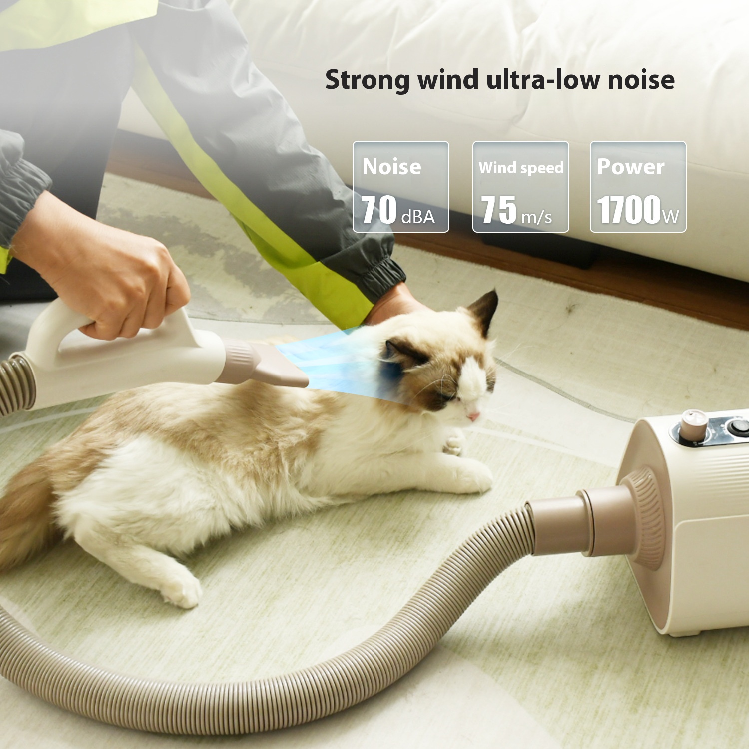 Pet water dispenser dogs and cats household high-power mute design push-button dog hair dryer