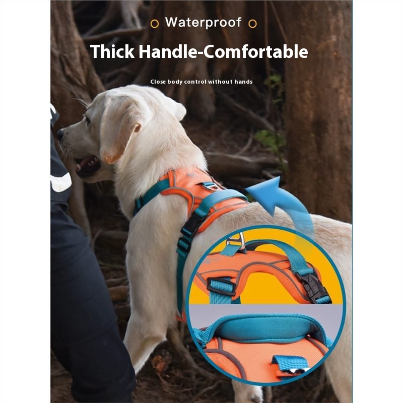 Dog hand holding rope vest-style chest strap outing strap dog harness small large dog Labrador dog leash