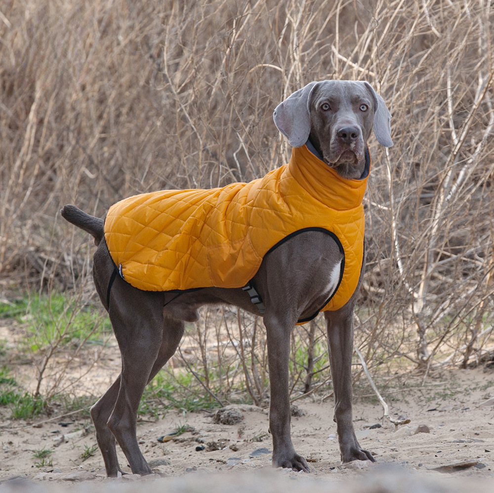 Dog clothes big dog outdoor outdoor anti-injury cold-proof pet clothes thickened & camouflage coat