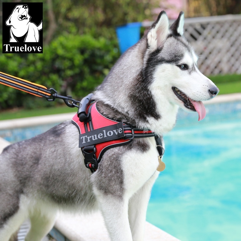 Truelove pet supplies dog hand holding rope dog leash souchong large dog dog leash vest chest strap