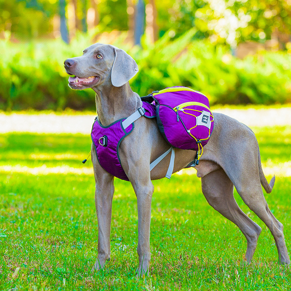 Dog pet bag super large capacity waterproof removable dog out dog backpack