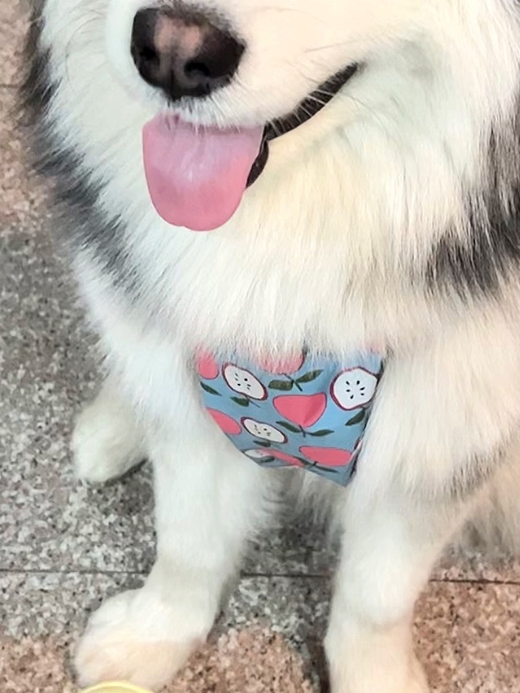 Dog Belly Suit -  Anti-dirty rainproof and waterproof warm