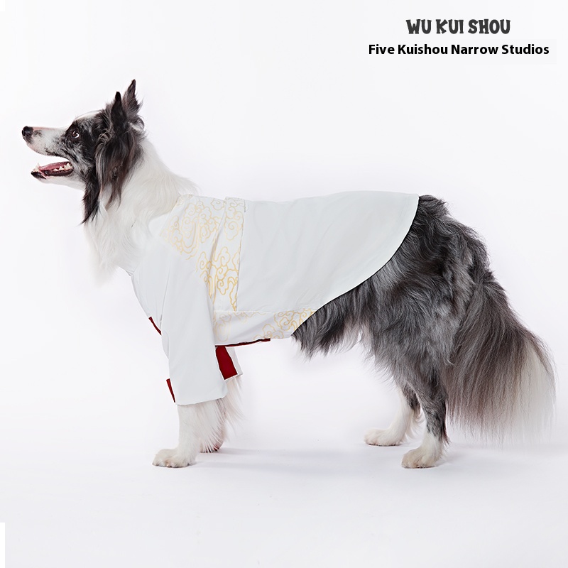 Five Kuaishou dog clothes and coat windproof and rainproof shell jacket border collie medium large dog pet poncho outdoor windbreaker