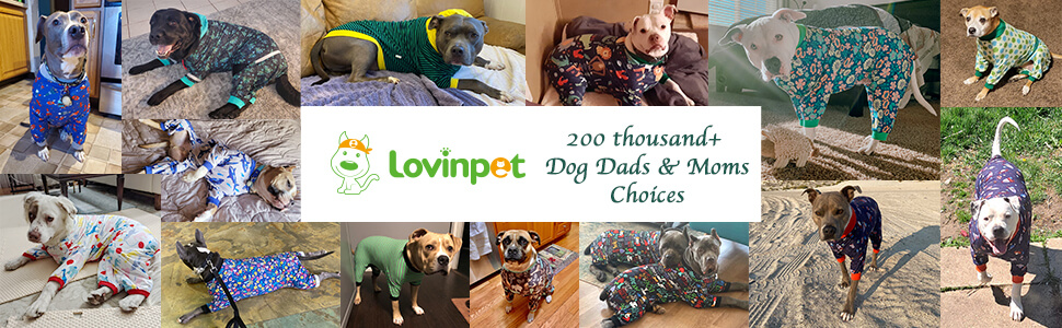 onesie for dogs after surgery