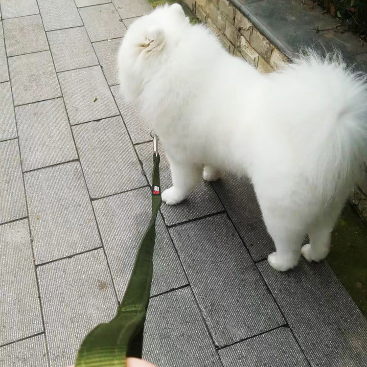 寰俊鍥剧墖_20190515183247