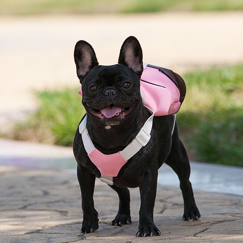 Puppy Dog backpack supplies Dog backpack portable chest strap water repellent Travel Dog backpack pet supplies