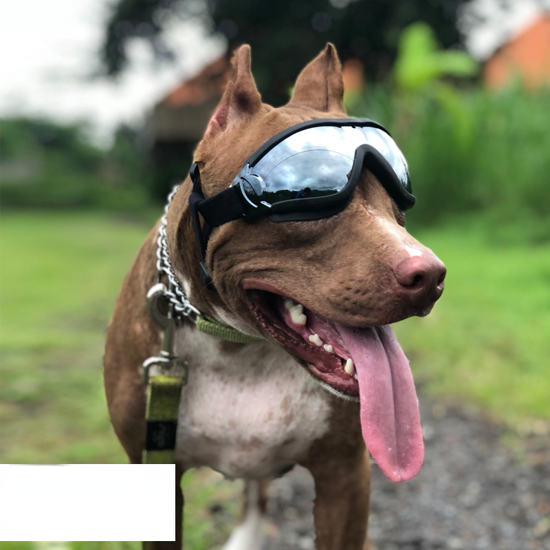 Pet goggles dog sunshade transparent glasses waterproof windproof anti-snow UV big dog eyes